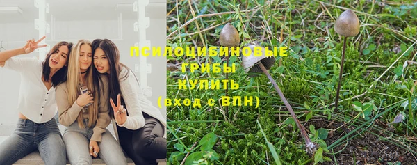 прущая мука Белоозёрский