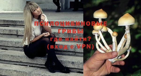 стафф Балабаново